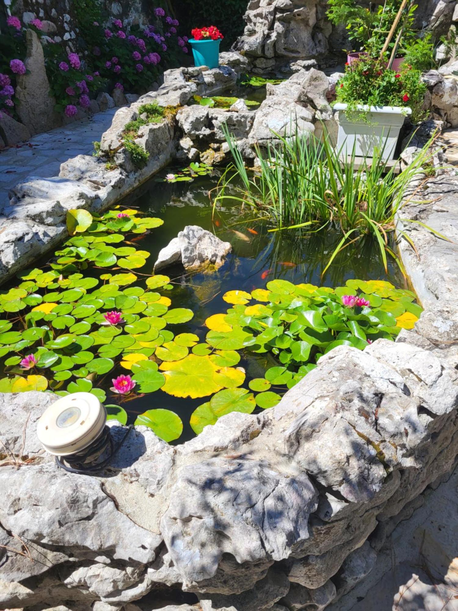 Gite 3 "Le Canal De Baza" Aux Magnolias Aubenas Eksteriør billede
