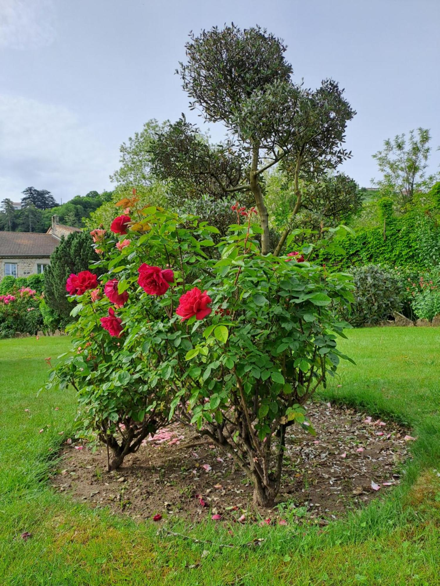 Gite 3 "Le Canal De Baza" Aux Magnolias Aubenas Eksteriør billede